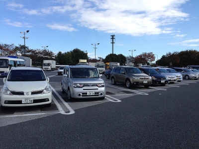 日本駕照難考嗎，多少錢？