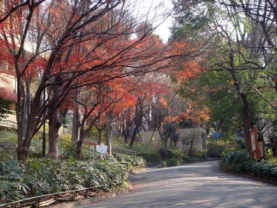 去日本工作需要有準(zhǔn)備哪些材料？